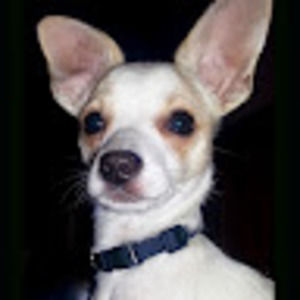 Meet your Posher, Beatriz